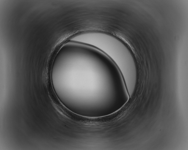 X0000086800677200704130901