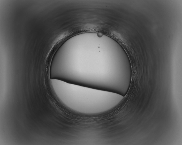 X0000086800679200704130901
