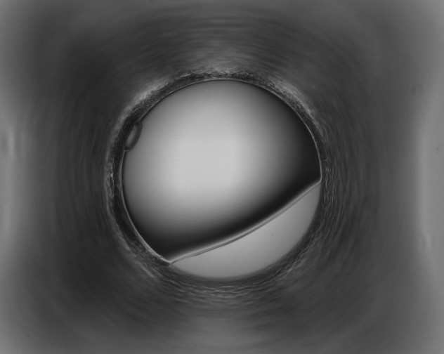 X0000086800680200704130901