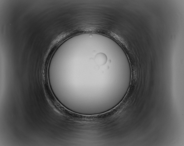 X0000086800682200704130901