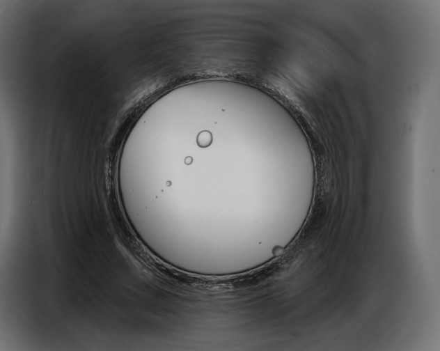 X0000086800683200704130901