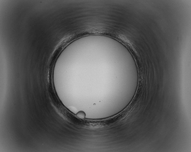 X0000086800686200704130901