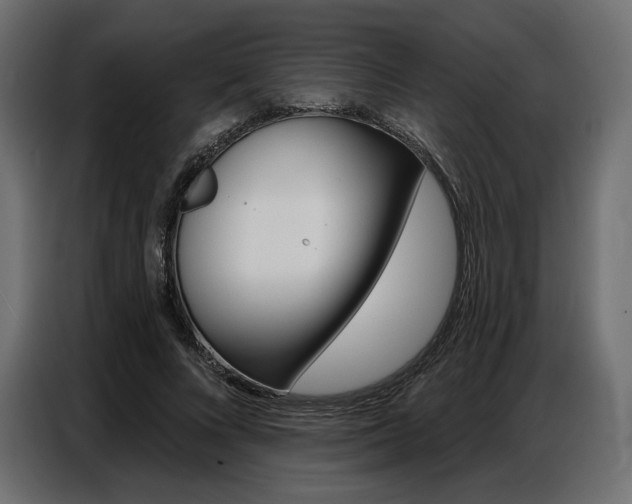 X0000086800688200704130901