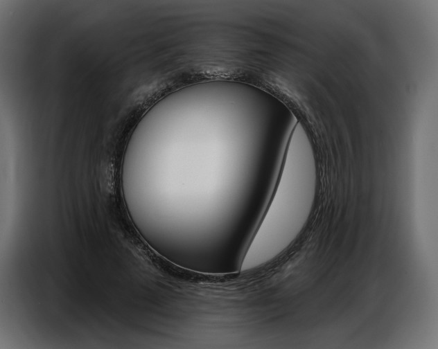 X0000086800689200704130901
