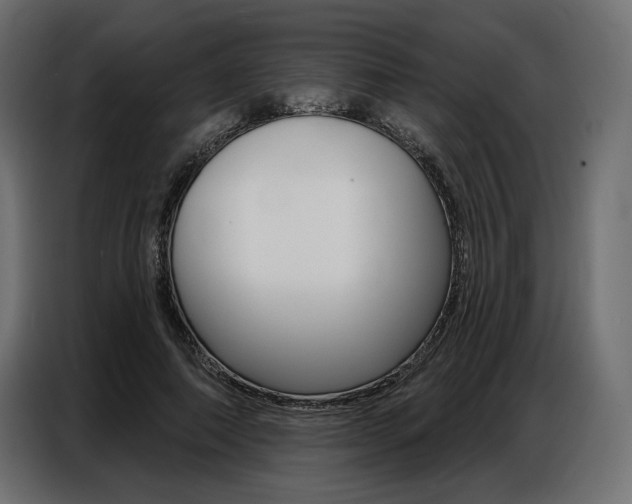 X0000086800690200704130901