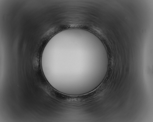 X0000086800691200704130901