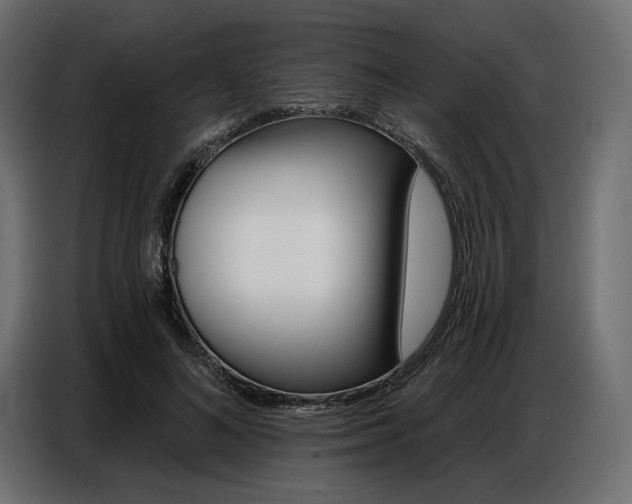 X0000086800692200704130901