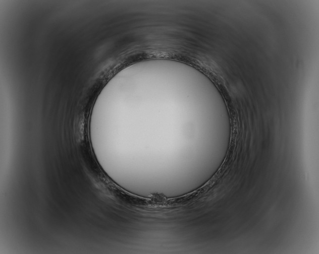X0000086800694200704130901