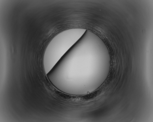 X0000086800695200704130901