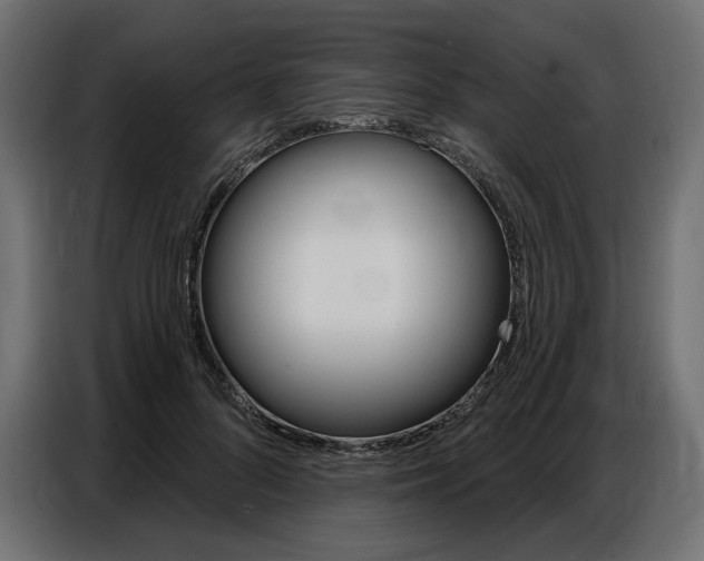 X0000086800696200704130901