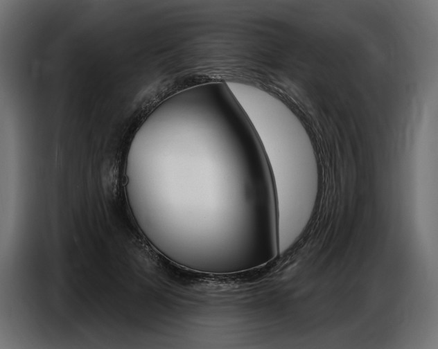 X0000086800697200704130901