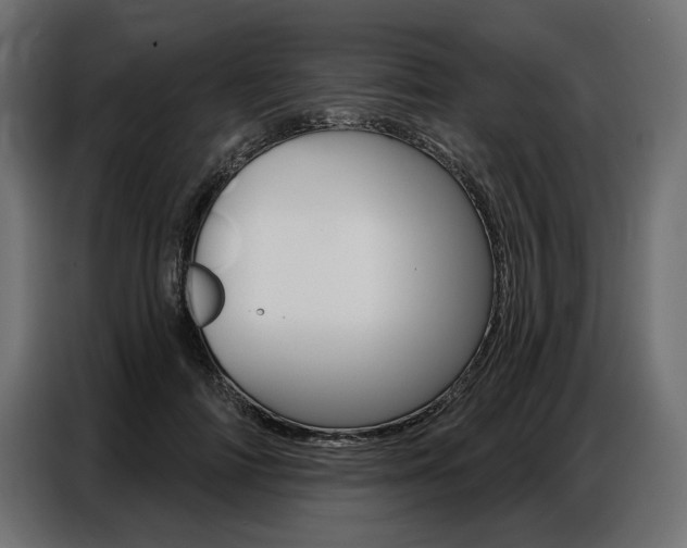 X0000086800698200704130901