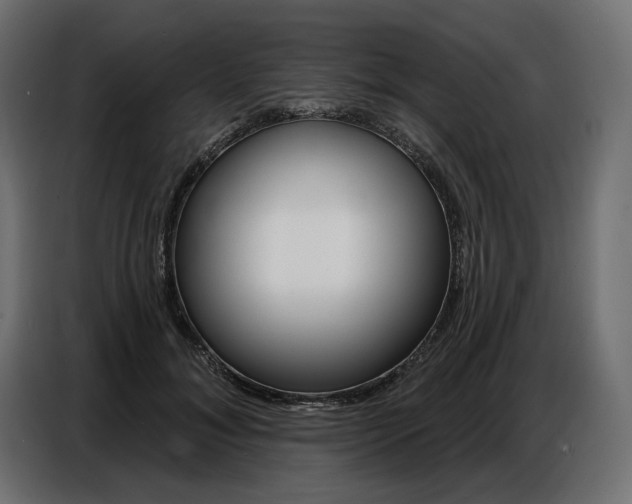 X0000086800700200704130901