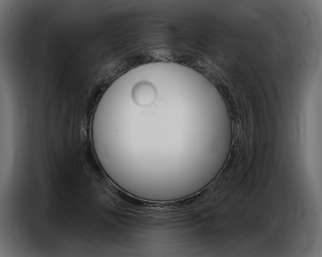 X0000086800702200704130901