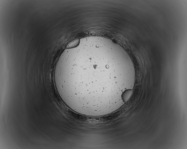 X0000086800703200704130901