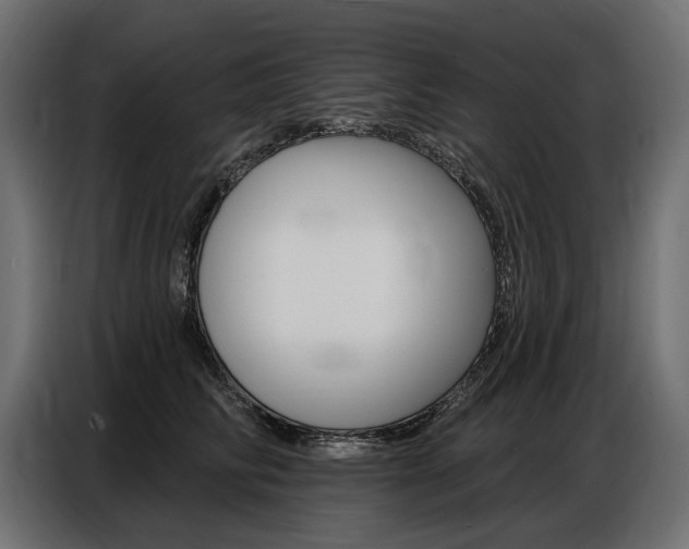 X0000086800710200704130900