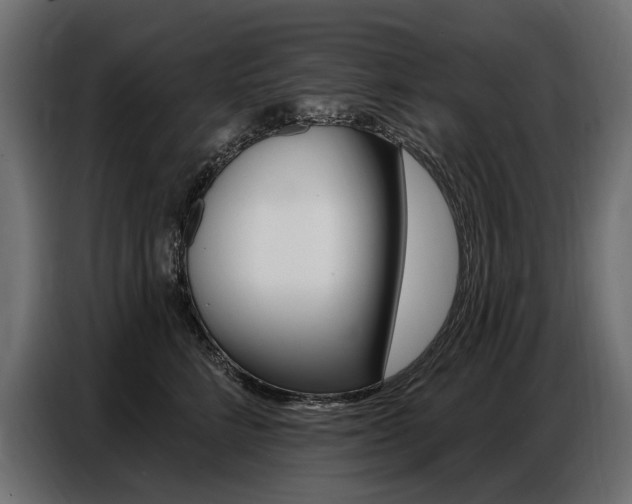 X0000086800712200704130900