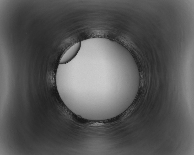 X0000086800718200704130900