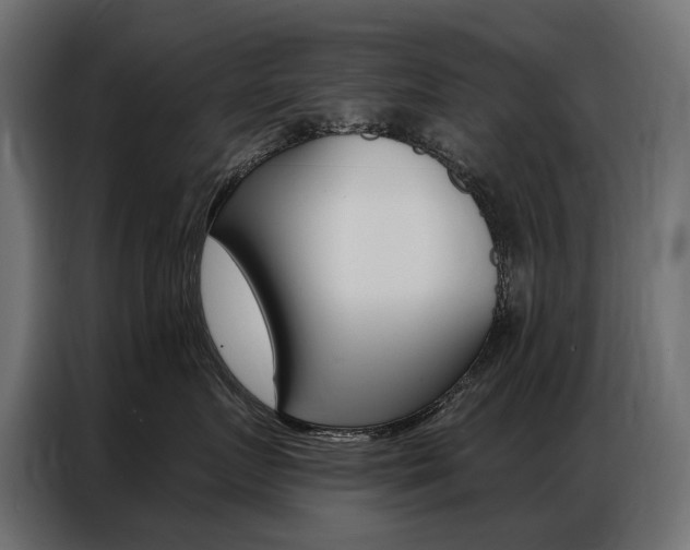X0000086800719200704130900