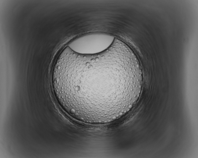 X0000086800721200704130900