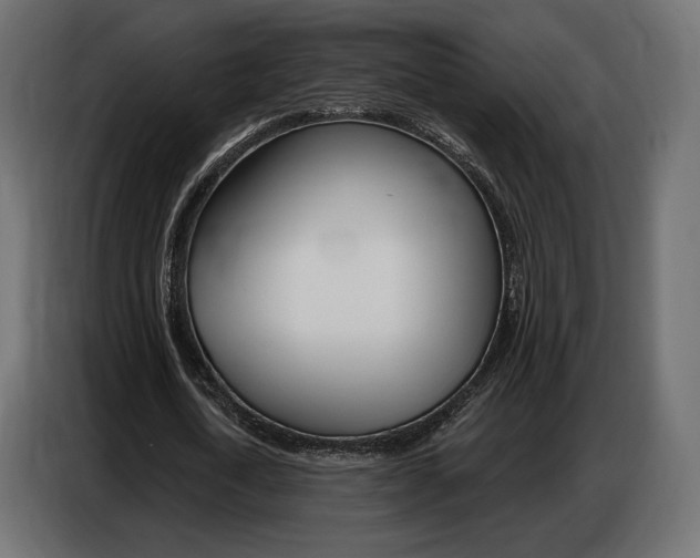 X0000086800722200704130900