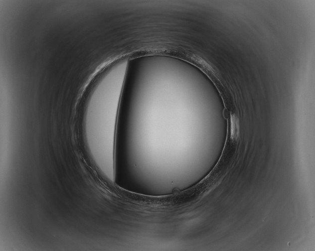 X0000086800723200704130900