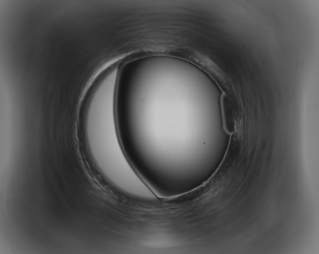 X0000086800724200704130900