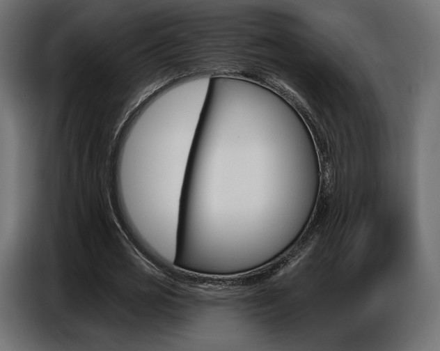 X0000086800725200704130900