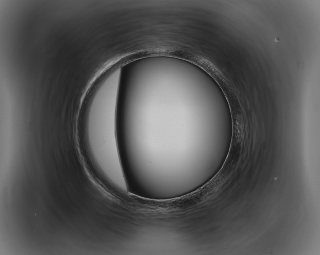 X0000086800726200704130900