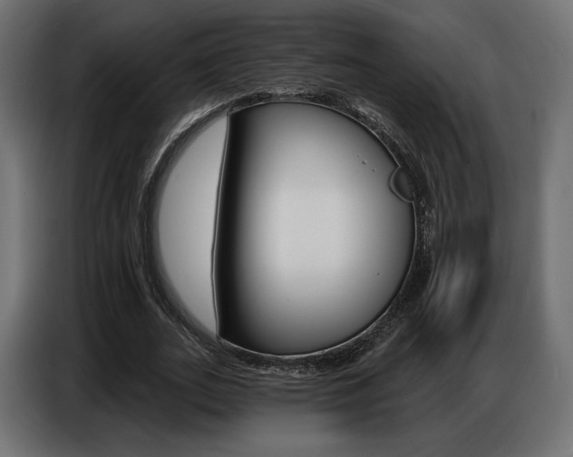 X0000086800727200704130900