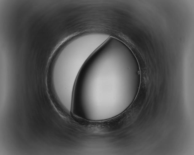 X0000086800728200704130900