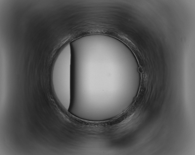 X0000086800729200704130900