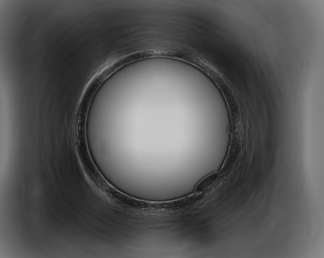 X0000086800730200704130900
