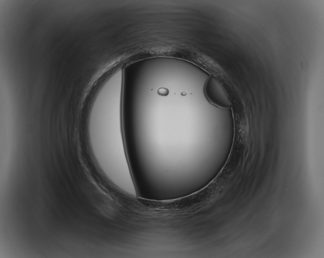 X0000086800732200704130900