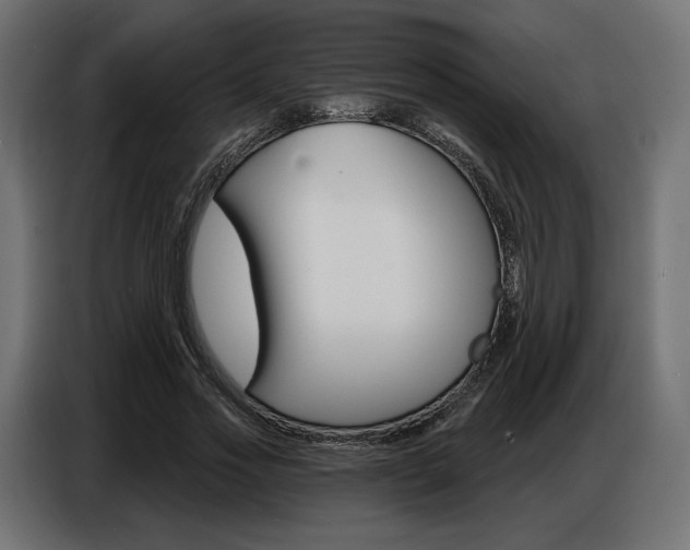 X0000086800733200704130900