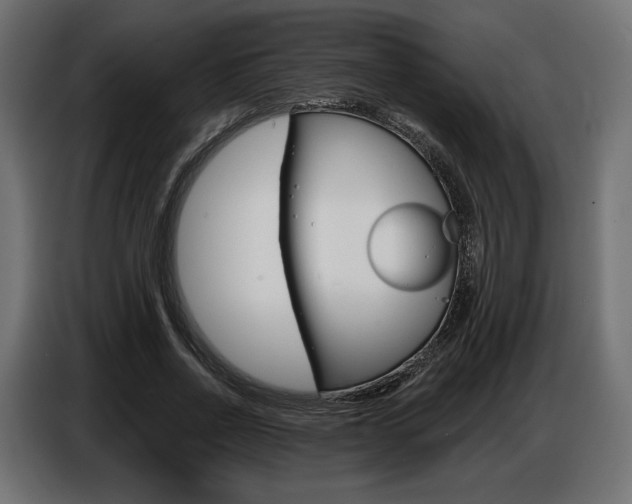 X0000086800734200704130900