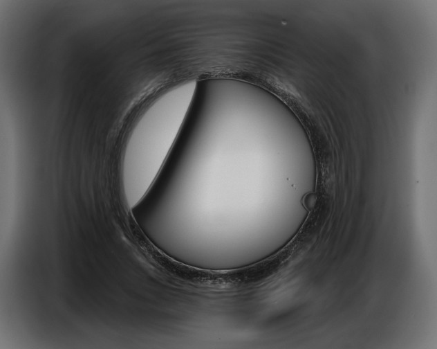 X0000086800735200704130900