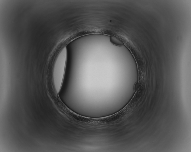 X0000086800736200704130900