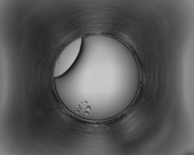 X0000086800737200704130900