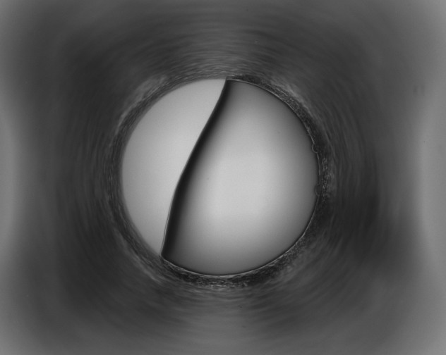 X0000086800738200704130900