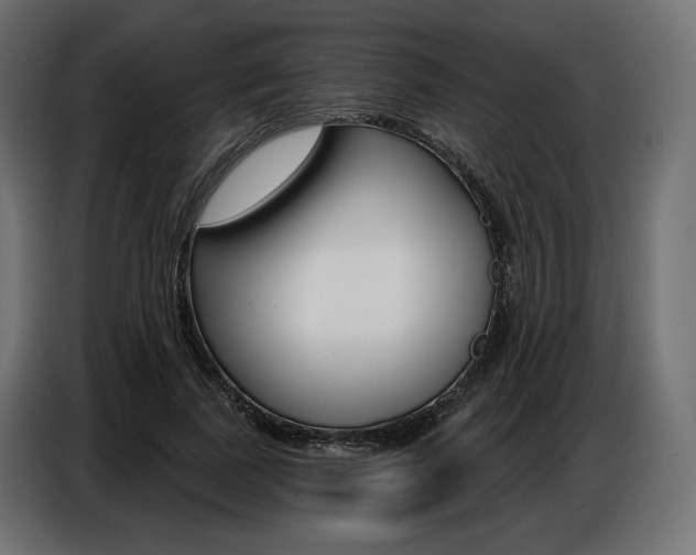 X0000086800739200704130900