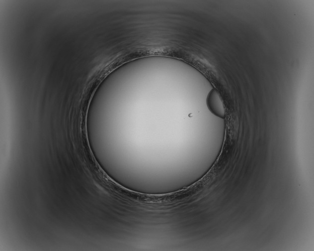 X0000086800740200704130900