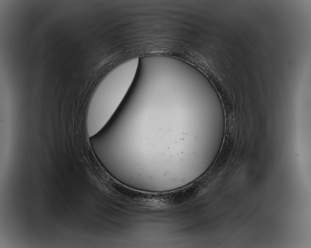 X0000086800741200704130900