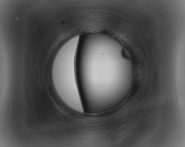 X0000086800742200704130900