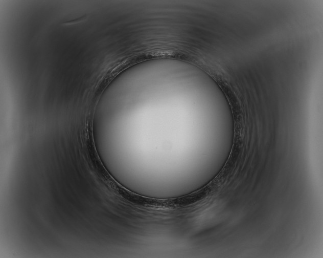 X0000086800743200704130900