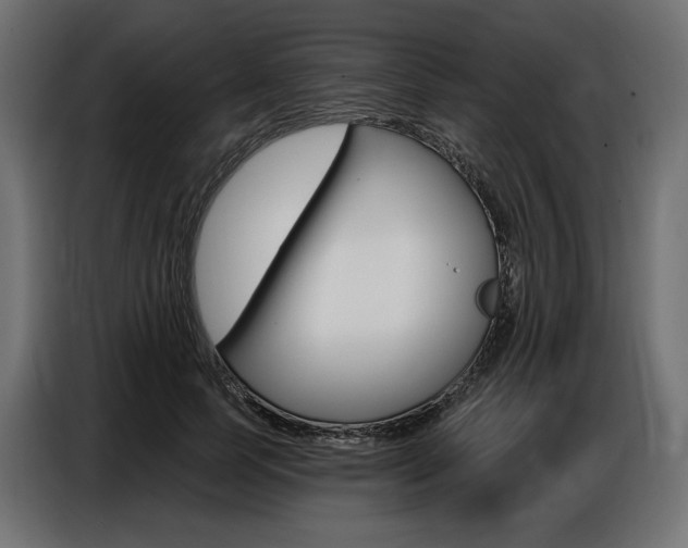 X0000086800745200704130900