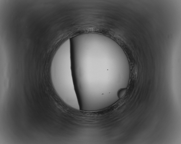X0000086800746200704130900