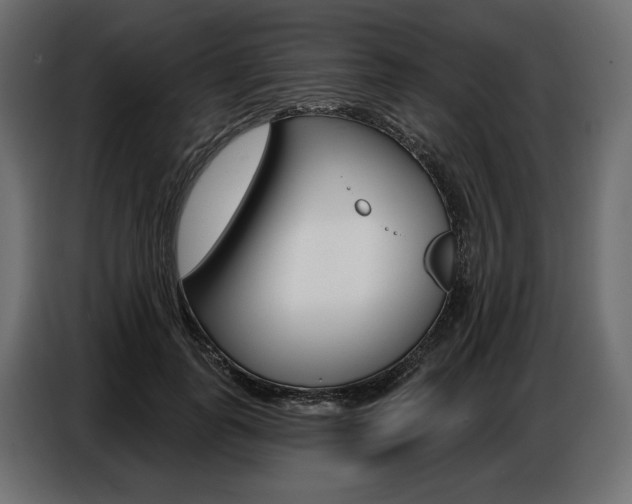 X0000086800747200704130900