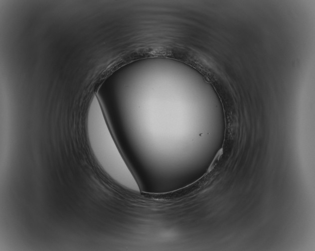 X0000086800748200704130900