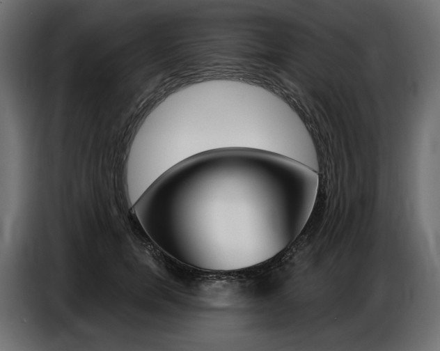 X0000086800750200704130900